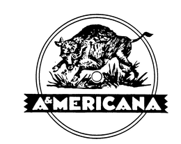 A&MERICANA trademark