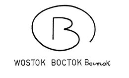 B WOSTOK BOCTOK BOCMOK trademark