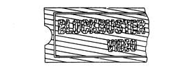 BLOCKBUSTER VIDEO trademark