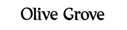 OLIVE GROVE trademark