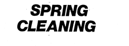 SPRING CLEANING trademark