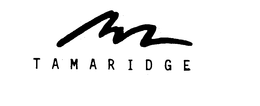 TAMARIDGE trademark