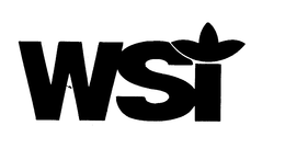 WSI trademark