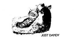 JUST DANDY trademark