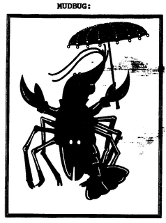 MUDBUG trademark