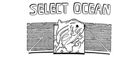 SELECT OCEAN trademark