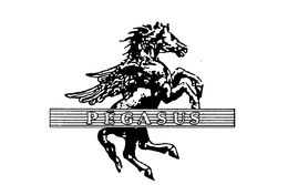 PEGASUS trademark