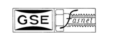 GSE FASNET trademark