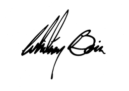 WHITNEY BOIN trademark