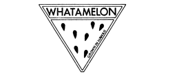 WHATAMELON GROWN IN HAWAII trademark