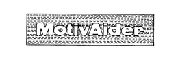 MOTIVAIDER trademark