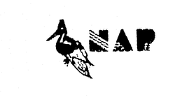 NAP trademark