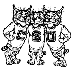 CSU trademark