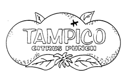TAMPICO CITRUS PUNCH trademark