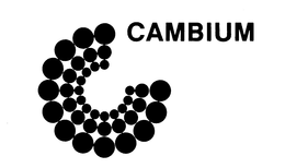 CAMBIUM trademark