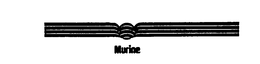 MURINE trademark