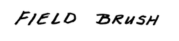 FIELD BRUSH trademark