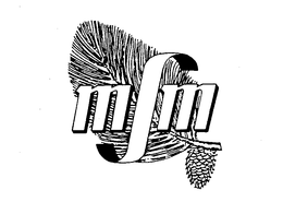 MSM trademark