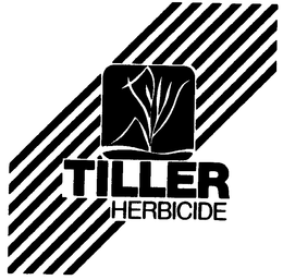 TILLER HERBICIDE trademark