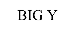 BIG Y trademark