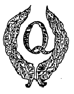 Q trademark