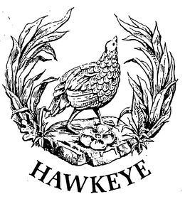 HAWKEYE trademark