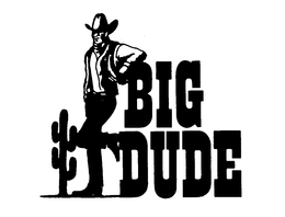 BIG DUDE trademark
