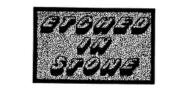 ETCHED IN STONE trademark
