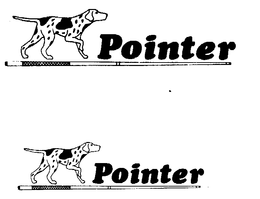 POINTER trademark