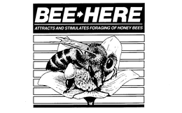 BEE-HERE ATTRACTS AND STIMULATES FORAGING OF HONEY BEES trademark