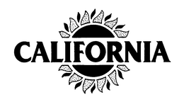 CALIFORNIA trademark
