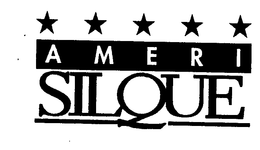 AMERI SILQUE trademark