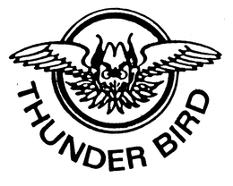 THUNDER BIRD trademark