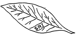 SRI trademark