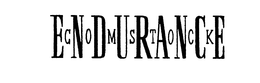 ENDURANCE COMSTOCK trademark