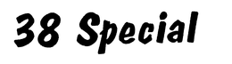 38 SPECIAL trademark