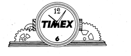 TIMEX 12 6 trademark