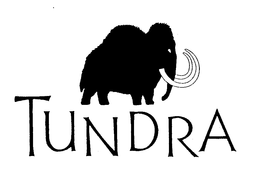 TUNDRA trademark