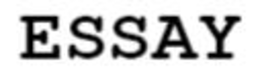 ESSAY trademark
