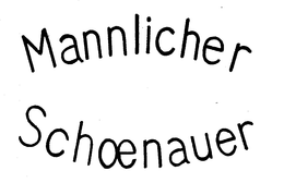 MANNLICHER SCHOENAUER trademark