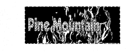 PINE MOUNTAIN trademark