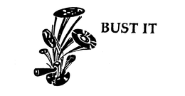 BUST IT trademark
