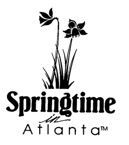 SPRINGTIME IN GEORGIA trademark