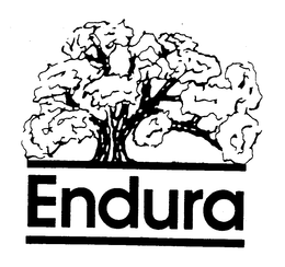 ENDURA trademark