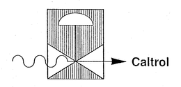 CALTROL trademark