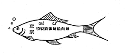 CHA CA trademark