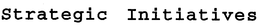 STRATEGIC INITIATIVES trademark
