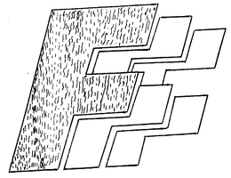 FFF trademark
