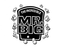 THE INCREDIBLE MR. BIG trademark