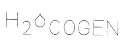 H20 COGEN trademark